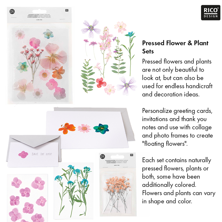 Rico Design Pressed Flower Sets