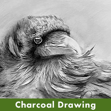 Charcoal Charcoal
