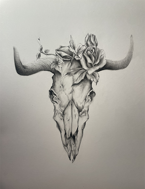 Charcoal Drawing Cow Skull
