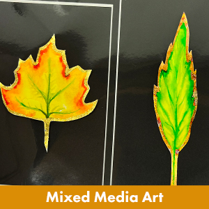 Mixed Media